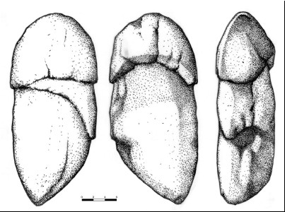 Figura09_01