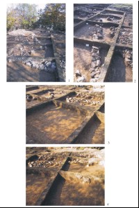 Figura11