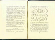 00172.1924.1.pag332-pag333.jpg
