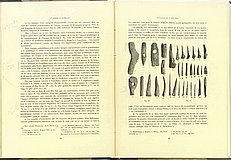 00241.1925.2.pag94-pag95.jpg