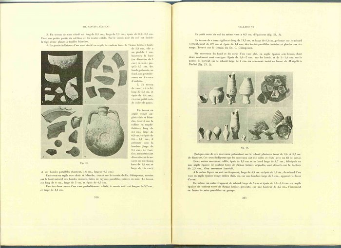 01480.1938.5-6.pag310-pag311.jpg