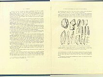 01321.1938.5-6.pag010-pag011.jpg
