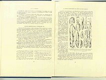 01325.1938.5-6.pag018-pag019.jpg