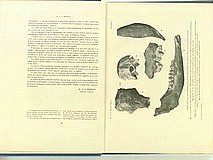 01327.1938.5-6.pag022-plansaI.jpg