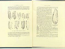 01334.1938.5-6.pag026-pag027.jpg