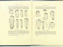01336.1938.5-6.pag030-pag031.jpg