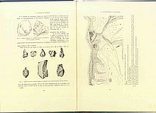 01347.1938.5-6.pag054-pag055.jpg