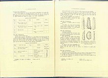 01356.1938.5-6.pag070-pag071.jpg