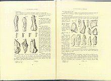 01357.1938.5-6.pag072-pag073.jpg