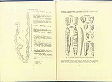 01359.1938.5-6.pag076-pag077.jpg