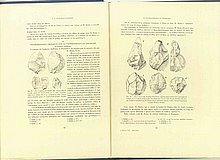 01361.1938.5-6.pag080-pag081.jpg