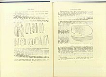 01376.1938.5-6.pag110-pag111.jpg