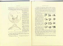 01378.1938.5-6.pag114-pag115.jpg