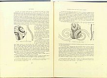 01387.1938.5-6.pag126-pag127.jpg