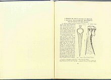 01420.1938.5-6.pagalba-pag191.jpg