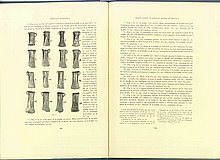 01427.1938.5-6.pag204-pag205.jpg