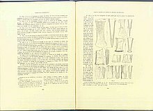 01428.1938.5-6.pag206-pag207.jpg