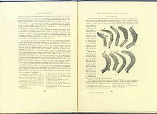 01429.1938.5-6.pag208-pag209.jpg