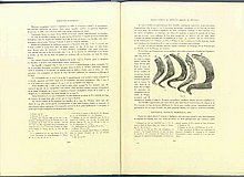 01430.1938.5-6.pag210-pag211.jpg