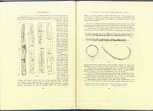 01439.1938.5-6.pag228-pag229.jpg