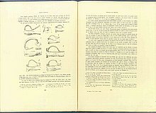 01445.1938.5-6.pag240-pag241.jpg