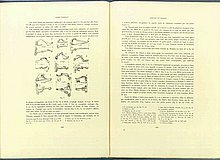 01446.1938.5-6.pag242-pag243.jpg