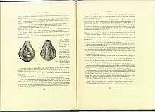 01455.1938.5-6.pag260-pag261.jpg