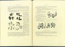 01457.1938.5-6.pag264-pag265.jpg