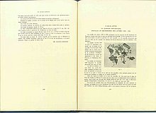 01464.1938.5-6.pag278-pag279.jpg