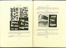 01470.1938.5-6.pag290-pag291.jpg