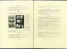 01471.1938.5-6.pag292-pag293.jpg