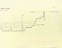 01498.1938.5-6.plansaXI.jpg