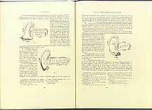 01500.1938.5-6.pag322-pag323.jpg