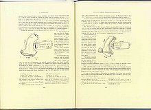 01501.1938.5-6.pag324-pag325.jpg