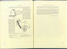 01502.1938.5-6.pag326-pag327.jpg