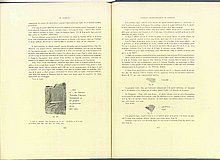 01528.1938.5-6.pag376-pag377.jpg