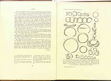 00828.1941.7-8.pag158-tavI.a.jpg