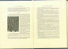 01579.1948.11-12.pag020-pag021.jpg