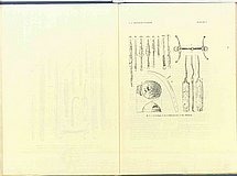 01590.1948.11-12.pagalba-plansaV.jpg