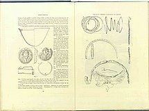 01592.1948.11-12.pag036-pag037.jpg