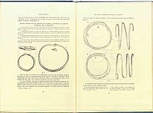 01600.1948.11-12.pag052-pag053.jpg