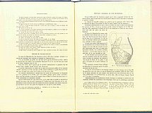 01623.1948.11-12.pag086-pag087.jpg