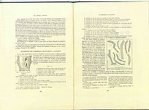 01642.1948.11-12.pag106-pag107.jpg