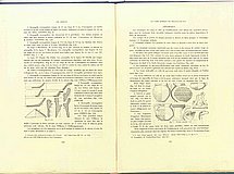 01651.1948.11-12.pag124-pag125.jpg