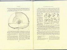 01654.1948.11-12.pag130-pag131.jpg