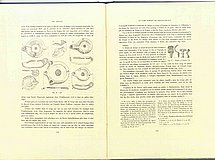 01656.1948.11-12.pag134-pag135.jpg