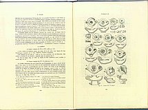 01672.1948.11-12.pag166-pag167.jpg