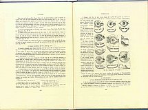01673.1948.11-12.pag168-pag169.jpg