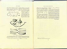 01724.1948.11-12.pag266-pag267.jpg