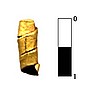 123Saltaleone_aur_MJTAGr.JPG